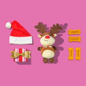 Holiday_Paws-And-Claus_Social-Post-2-300×300 Festive flat lay on pink background with Santa hat, reindeer plush toy, striped gift with gold bow, and four yellow bone-shaped dog biscuits.